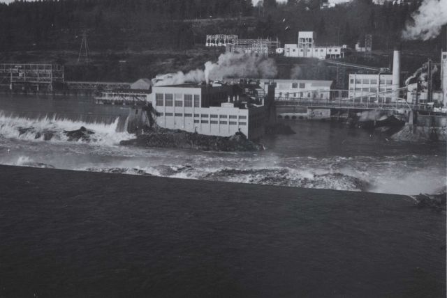 Willamette Falls two weeks after fish6671. Picture