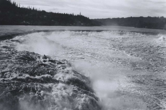 Willamette Falls six weeks after fish6671. Picture