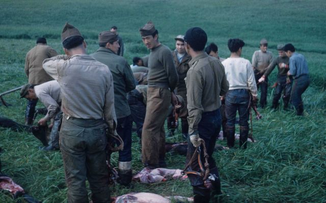 Finishing the skinning of the seals. Picture