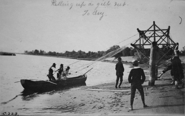 Rolling up a gill net to dry. Picture