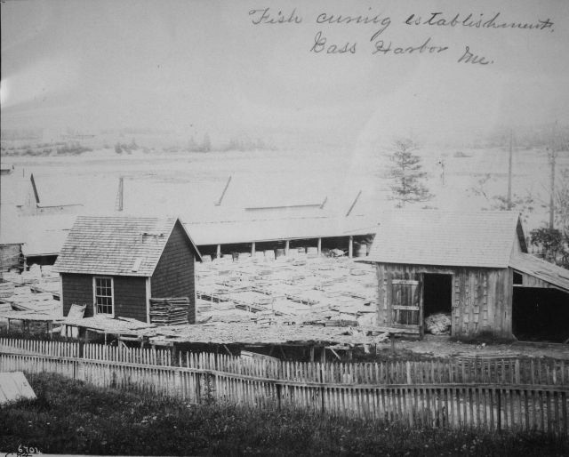 Fish curing establishments, Bass Harbor, ME. Picture