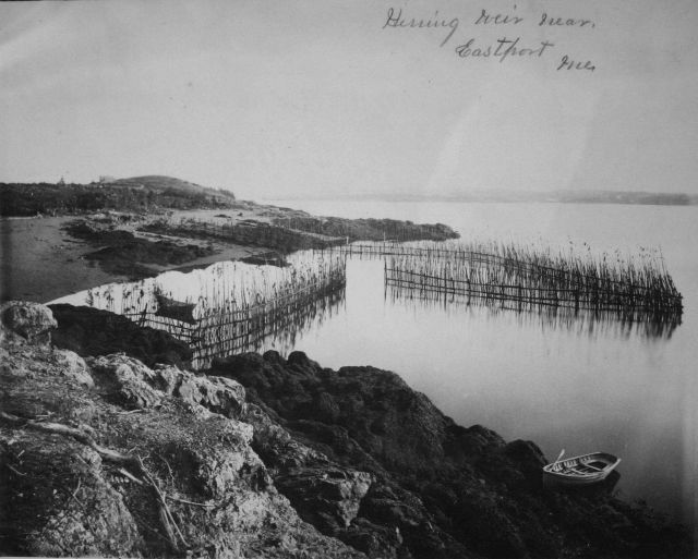 Herring weir near Eastport, ME. Picture