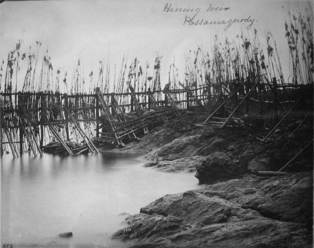 Herring weir, Passamaquoddy, ME. Picture