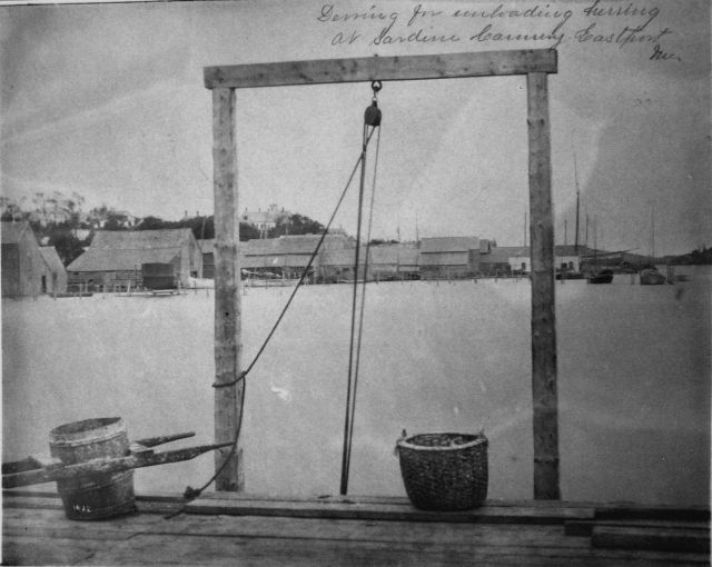 Derrick for unloading herring at sardine cannery, Eastport, ME. Picture