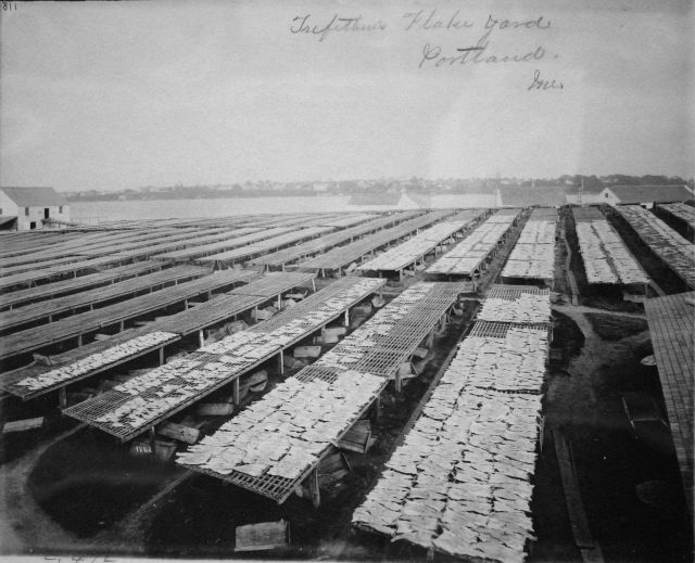 Trefethen's flake yard, Portland, ME. Picture