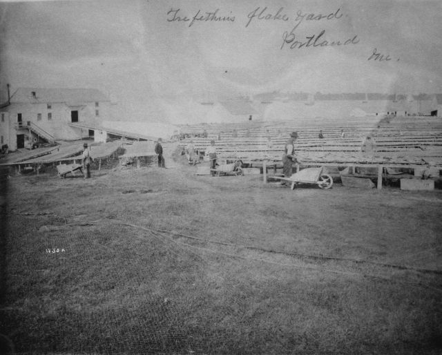 Trefethen's flake yard, Portland, ME. Picture