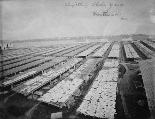 Trefethen's flake yard, Portland, ME. Picture