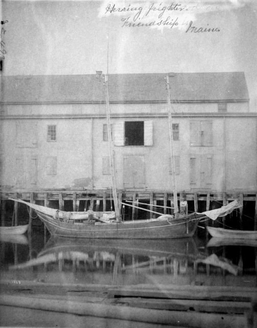 Herring freighter, Friendship, ME. Picture