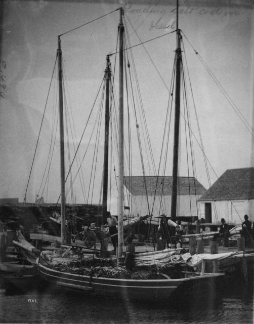 Loading salt cod on vessel. Picture