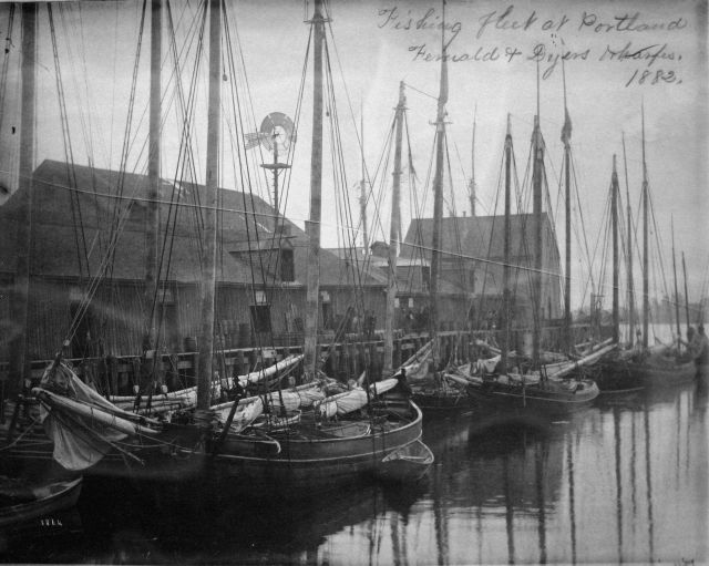 Fishing fleet at Portland, ME, Fernald and Dyers wharves, 1882. Picture
