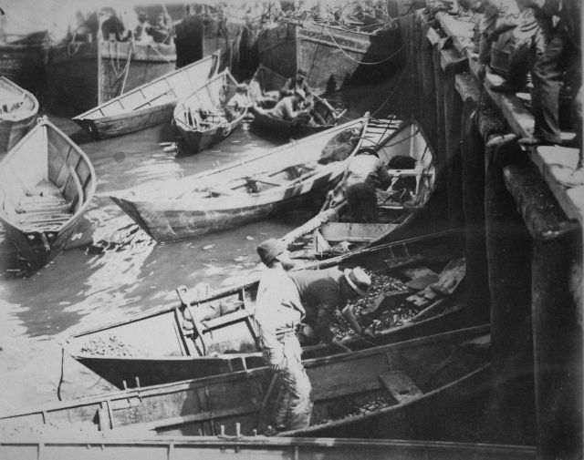 T Wharf, Boston, Worth, 1891. Picture