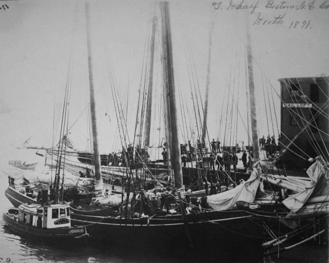 T Wharf, Boston, N.E Picture