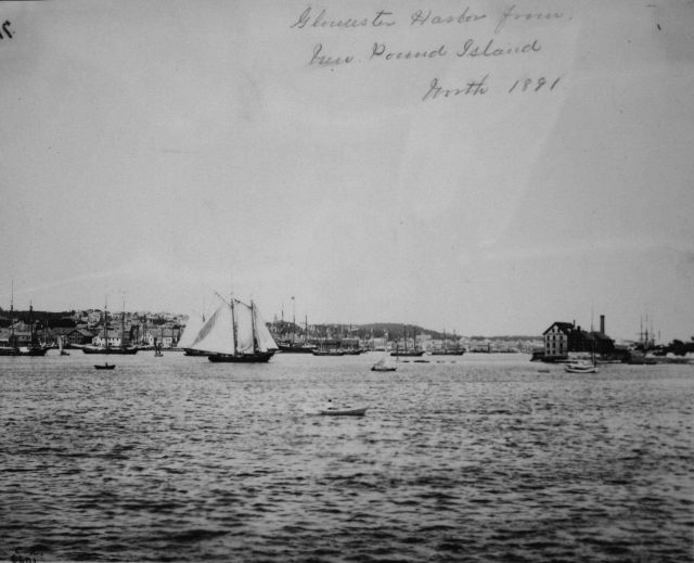 Gloucester Harbor from New Pound Island, Worth, 1891. Picture