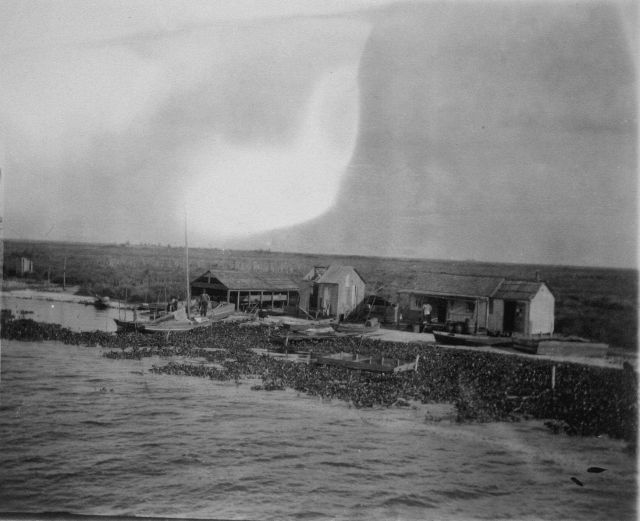 Crab fisherman's home on Bayou Barataria with water lillies in the foreground. Picture