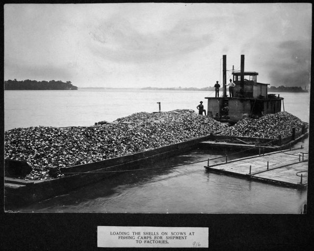 Loading the shells on scows at fishing camps for shipment to factories. Picture