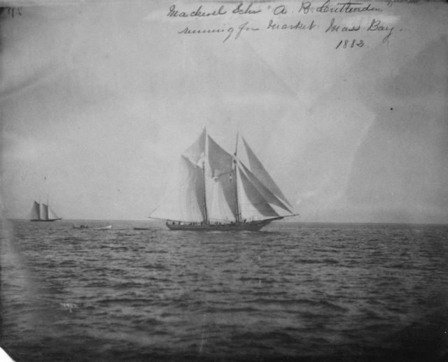 Mackerel Schooner A.R Picture