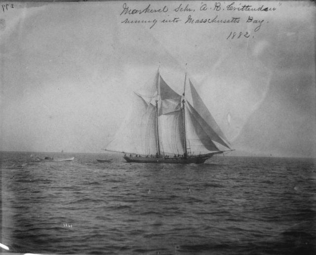 Mackerel Schooner A.R Picture