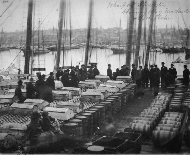 Wharf at Gloucester, MA showing bbls of mackerel and cod flakes. Picture