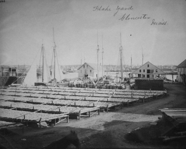 Flake yard, Gloucester, MA. Picture