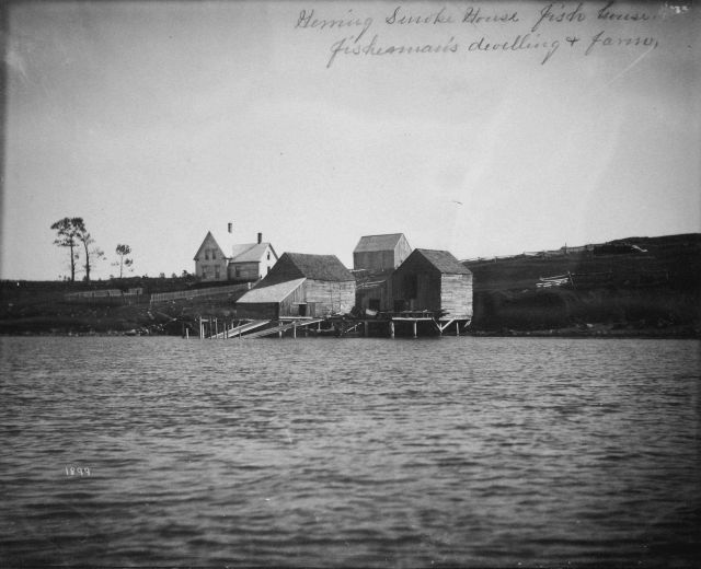 Herring smoke house, fish house, fisherman's dwellling and farm. Picture
