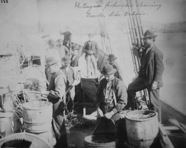Portuguese fishermen cleaning trawls, Schooner Ontario. Picture