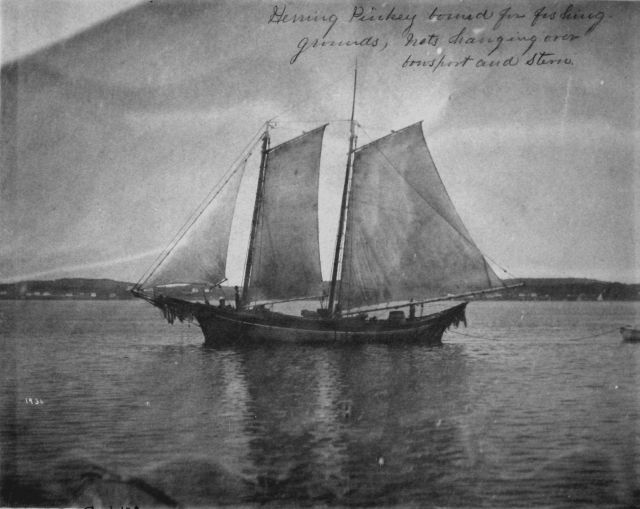 Herring pinkey bound for fishing grounds, nets hanging over bowsprit and stern. Picture