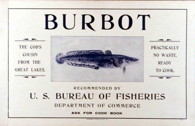 Poster, broadside, 
