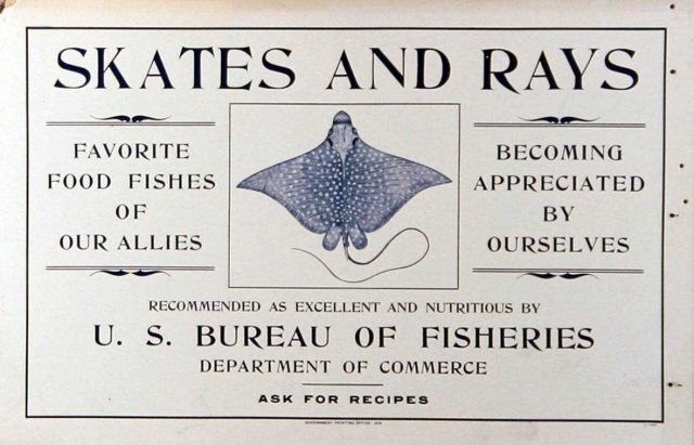 Poster, broadside, 