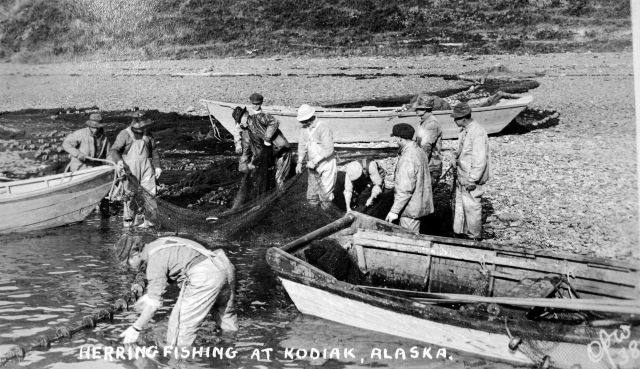 Herring fishing at Kodiak, Alaska Picture