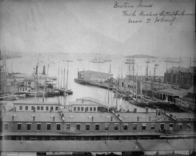 Boston, MA, fish dealers establishments near T Wharf. Picture