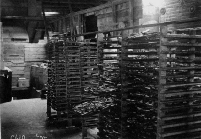 Cooling room, sardine cannery, Southwest Harbor, ME, 1899. Picture