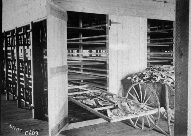 Whitman patent steam curer Picture