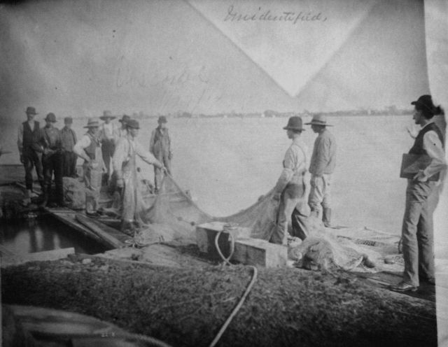 Unidentified. Picture
