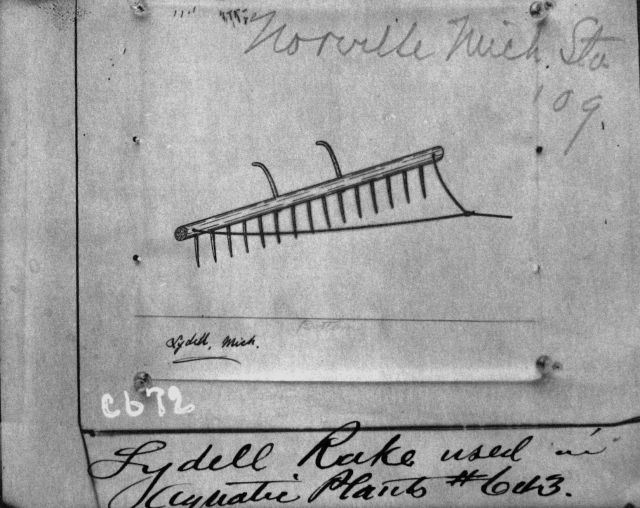Lydell Rake used in aquatic plants, Norville Mich Picture