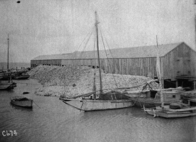 Oyster shucking houses showing available for oyster culture. Picture