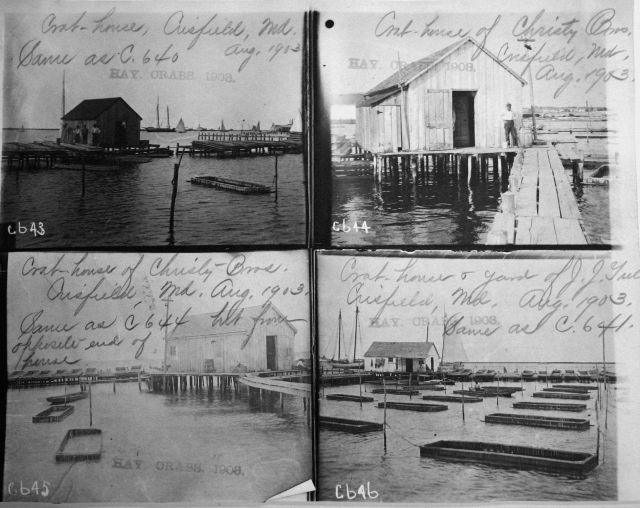 Crab houses and yard of Crisfield, MD, Aug Picture