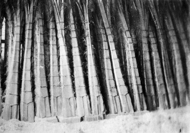 Aquatic products in Arts and Industries, whalebone, New Bedford, MA. Picture