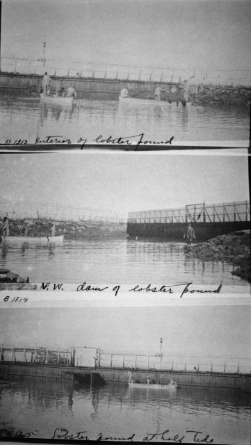 Interior of lobster pound, NW dam of lobster pound, lobster pound at half tide. Picture