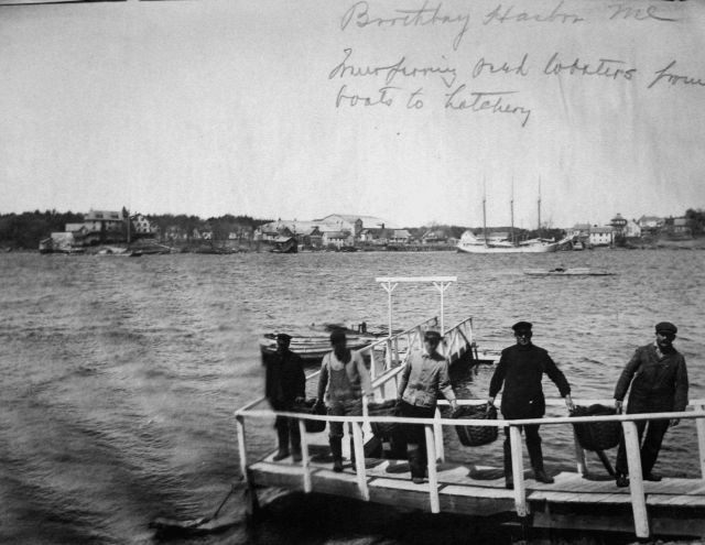 Boothbay Harbor, ME, transporting lobsters from boats to hatchery. Picture