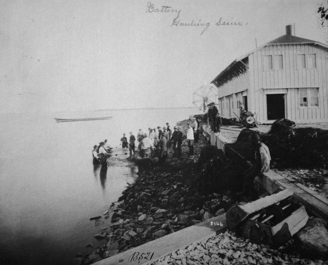 Battery, hauling seine. Picture