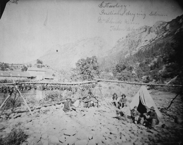 Ethnology, McCloud River, CA, indians drying salmon, taken about 1882. Picture