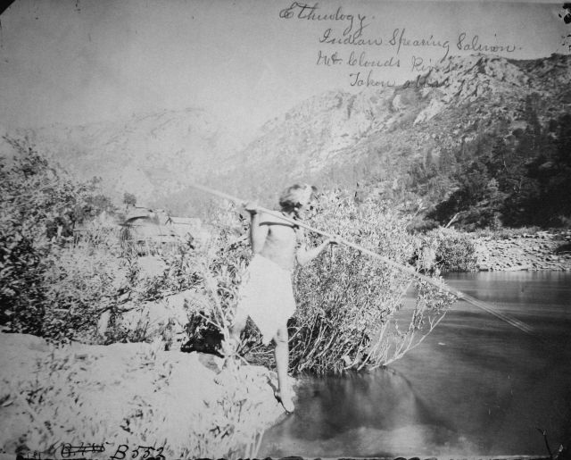 Ethnology, McCloud River, CA, indian spearing salmon, taken about 1882. Picture