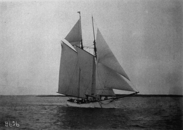 USFC Grampus, 1902. Picture