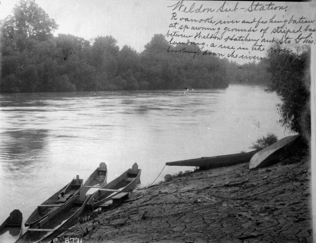 Weldon sub-station, Roanoke River and fishing bateau at spawning grounds of striped bass between Weldon Hatchery and Stn Picture