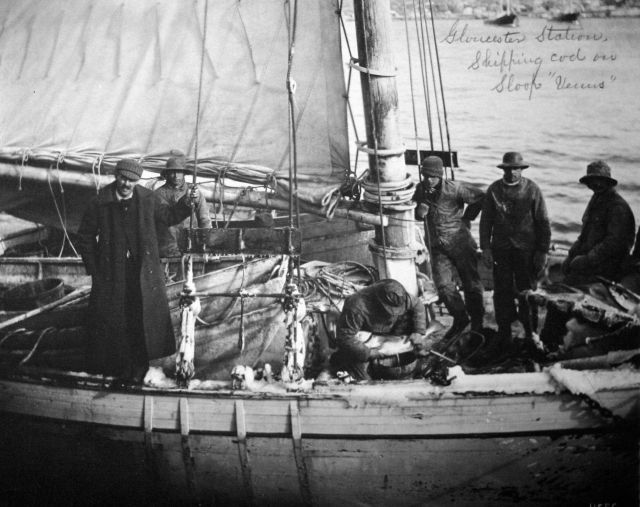 Gloucester station, MA, shipping cod on sloop Venus. Picture