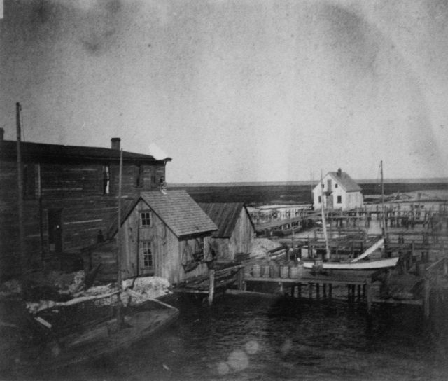 Unidentified. Picture