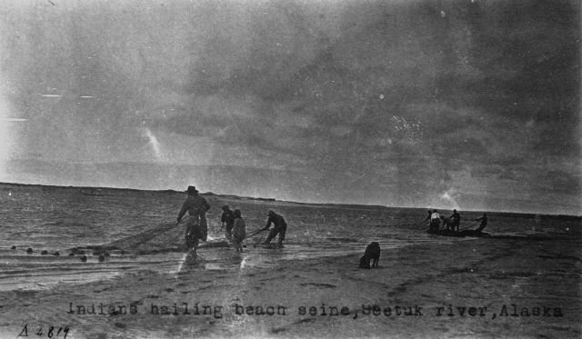 Indians hauling beach seine, Seetuk River, AK. Picture