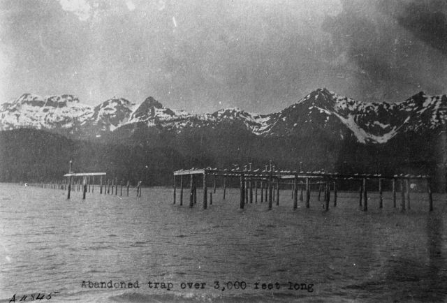 Abandoned trap over 3,000 feet long, AK. Picture