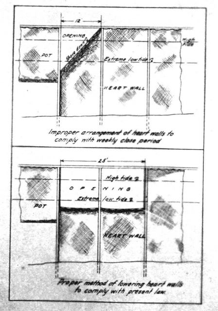 Heart walls of traps, AK. Picture