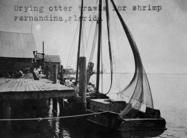 Drying otter trawls for shrimp, Fernandina, FL. Picture